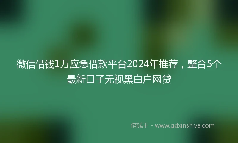 微信借钱1万应急借款平台2024年推荐，整合5个最新口子无视黑白户网贷