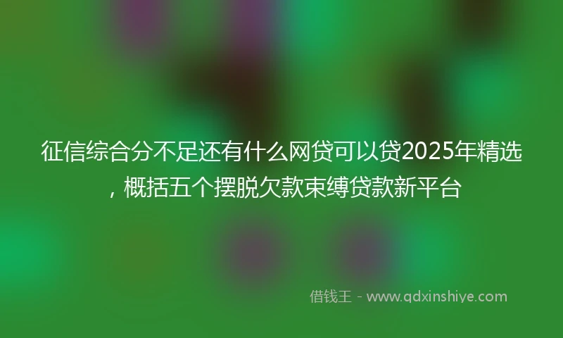 征信综合分不足还有什么网贷可以贷2025年精选，概括五个摆脱欠款束缚贷款新平台