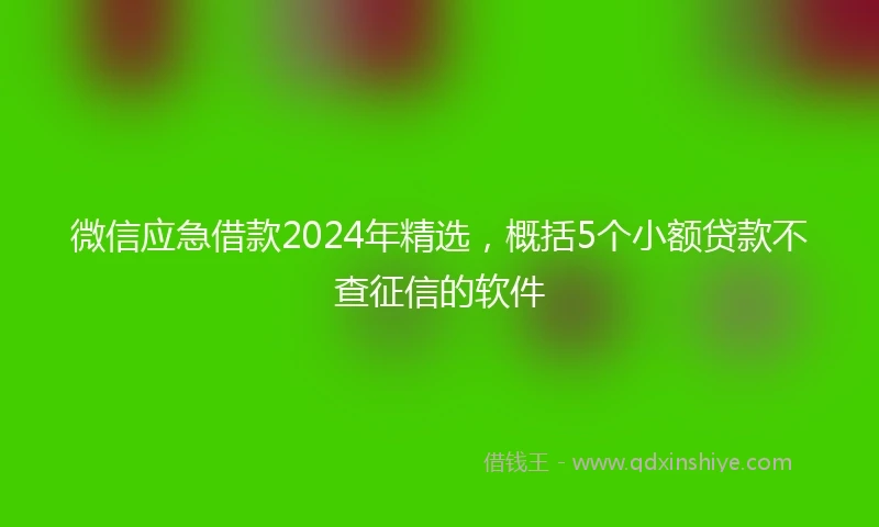 微信应急借款2024年精选，概括5个小额贷款不查征信的软件