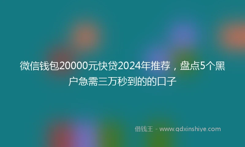 微信钱包20000元快贷2024年推荐，盘点5个黑户急需三万秒到的的口子