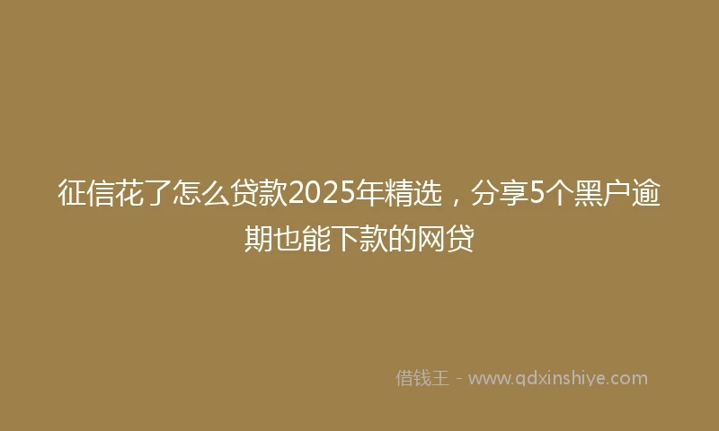 征信花了怎么贷款2025年精选，分享5个黑户逾期也能下款的网贷