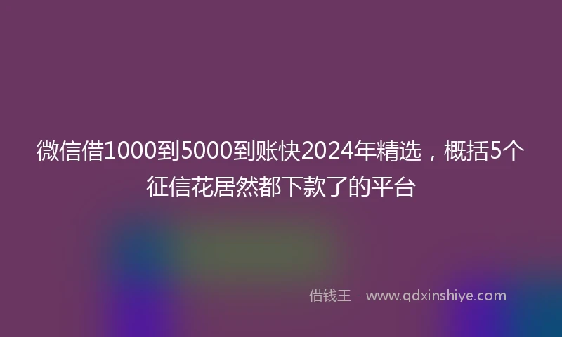 微信借1000到5000到账快2024年精选，概括5个征信花居然都下款了的平台