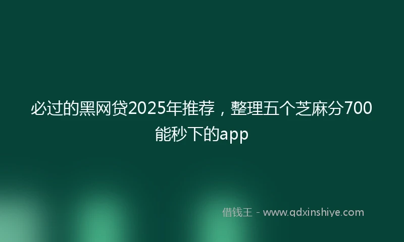 必过的黑网贷2025年推荐，整理五个芝麻分700能秒下的app