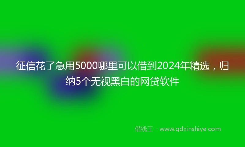 征信花了急用5000哪里可以借到2024年精选，归纳5个无视黑白的网贷软件
