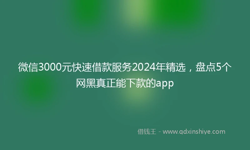 微信3000元快速借款服务2024年精选，盘点5个网黑真正能下款的app