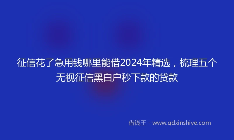 征信花了急用钱哪里能借2024年精选，梳理五个无视征信黑白户秒下款的贷款