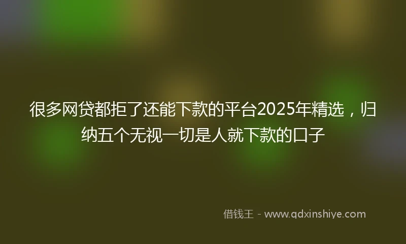 很多网贷都拒了还能下款的平台2025年精选，归纳五个无视一切是人就下款的口子