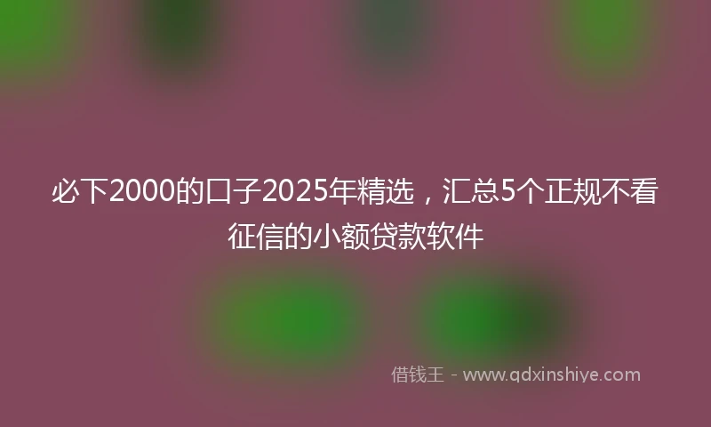 必下2000的口子2025年精选，汇总5个正规不看征信的小额贷款软件