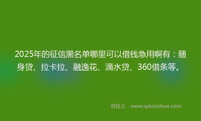 2025年的征信黑名单哪里可以借钱急用啊有：随身贷、拉卡拉、融逸花、滴水贷、360借条等。