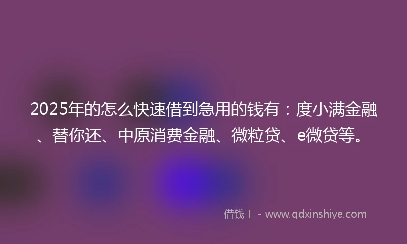 2025年的怎么快速借到急用的钱有：度小满金融、替你还、中原消费金融、微粒贷、e微贷等。