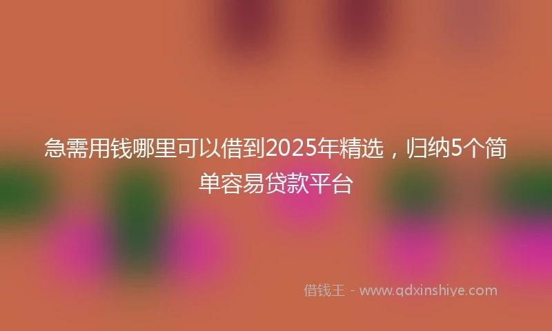 急需用钱哪里可以借到2025年精选，归纳5个简单容易贷款平台