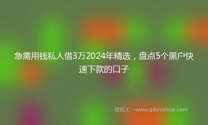 急需用钱私人借3万2024年精选，盘点5个黑户快速下款的口子