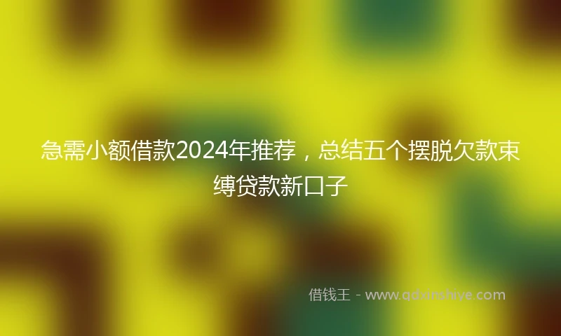 急需小额借款2024年推荐，总结五个摆脱欠款束缚贷款新口子