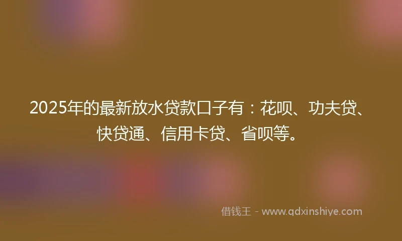 2025年的最新放水贷款口子有：花呗、功夫贷、快贷通、信用卡贷、省呗等。