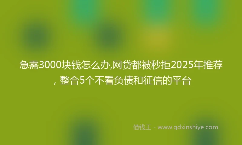 急需3000块钱怎么办,网贷都被秒拒2025年推荐，整合5个不看负债和征信的平台