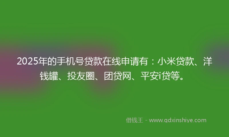 2025年的手机号贷款在线申请有：小米贷款、洋钱罐、投友圈、团贷网、平安i贷等。