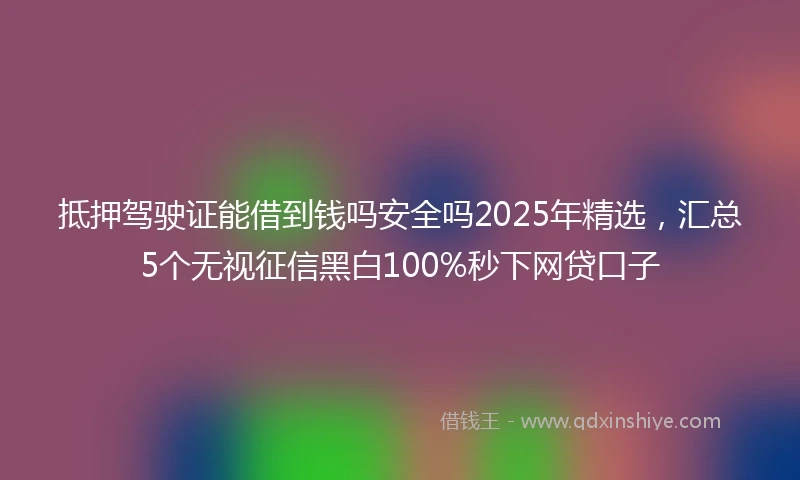 抵押驾驶证能借到钱吗安全吗2025年精选，汇总5个无视征信黑白100%秒下网贷口子