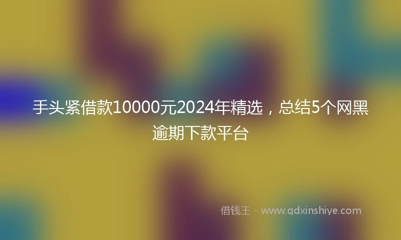 手头紧借款10000元2024年精选，总结5个网黑逾期下款平台