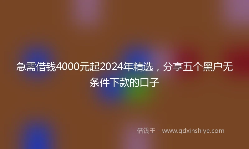 急需借钱4000元起2024年精选，分享五个黑户无条件下款的口子