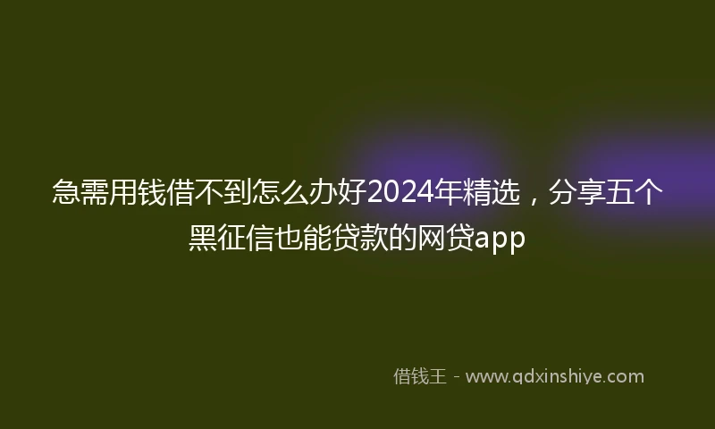 急需用钱借不到怎么办好2024年精选，分享五个黑征信也能贷款的网贷app