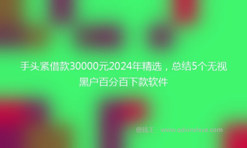 手头紧借款30000元2024年精选，总结5个无视黑户百分百下款软件