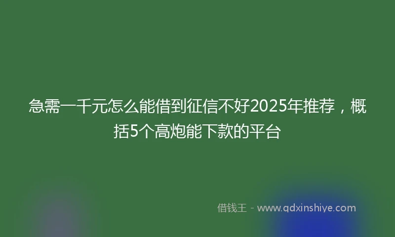 急需一千元怎么能借到征信不好2025年推荐，概括5个高炮能下款的平台
