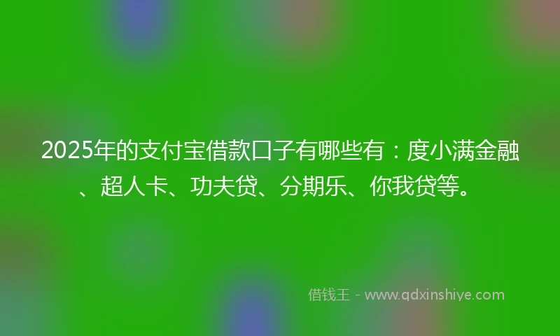 2025年的支付宝借款口子有哪些有：度小满金融、超人卡、功夫贷、分期乐、你我贷等。