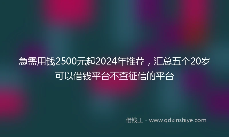 急需用钱2500元起2024年推荐，汇总五个20岁可以借钱平台不查征信的平台