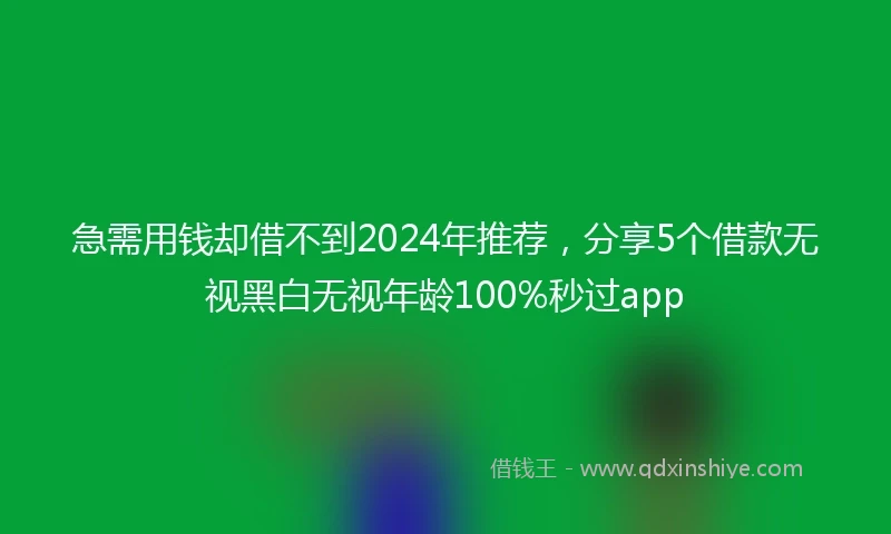 急需用钱却借不到2024年推荐，分享5个借款无视黑白无视年龄100%秒过app