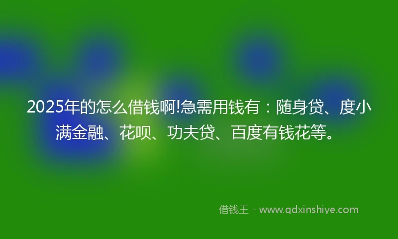 2025年的怎么借钱啊!急需用钱有：随身贷、度小满金融、花呗、功夫贷、百度有钱花等。