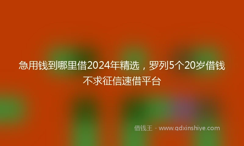 急用钱到哪里借2024年精选，罗列5个20岁借钱不求征信速借平台