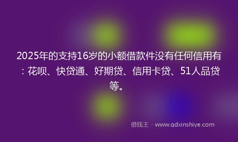 2025年的支持16岁的小额借款件没有任何信用有：花呗、快贷通、好期贷、信用卡贷、51人品贷等。