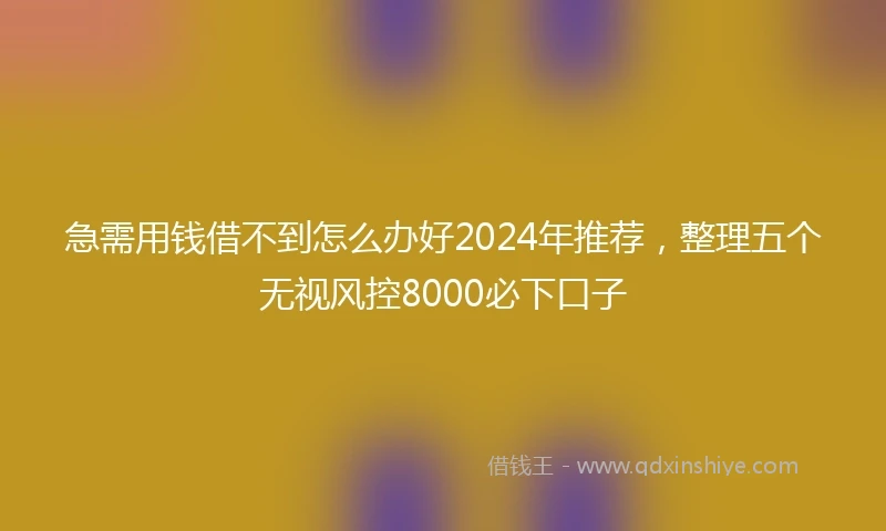 急需用钱借不到怎么办好2024年推荐，整理五个无视风控8000必下口子