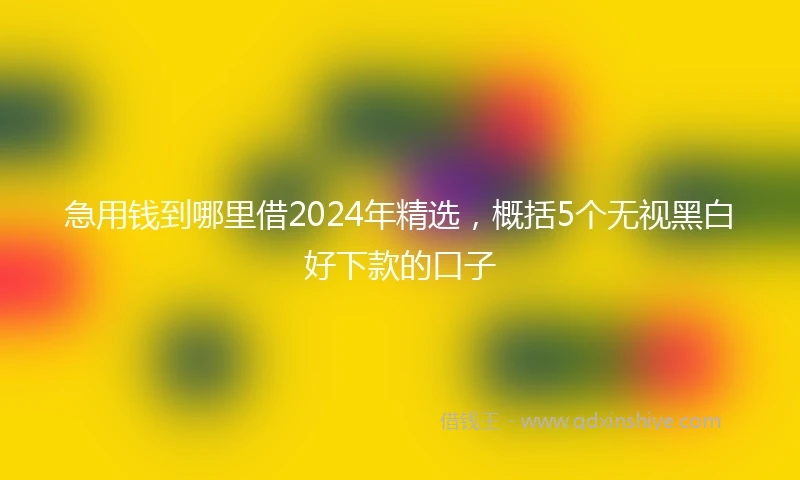急用钱到哪里借2024年精选，概括5个无视黑白好下款的口子