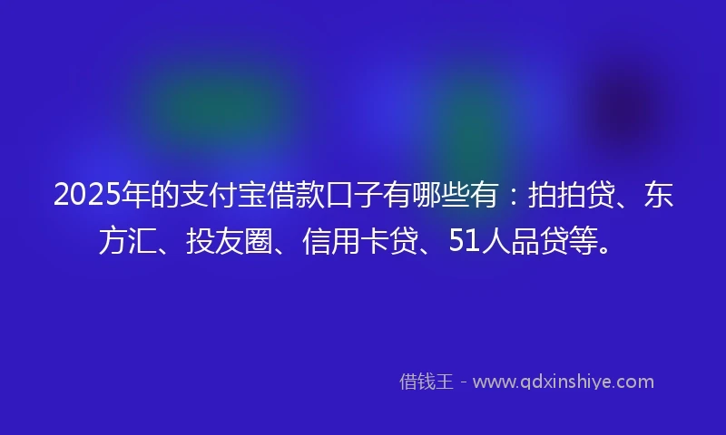 2025年的支付宝借款口子有哪些有：拍拍贷、东方汇、投友圈、信用卡贷、51人品贷等。