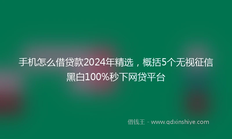 手机怎么借贷款2024年精选，概括5个无视征信黑白100%秒下网贷平台