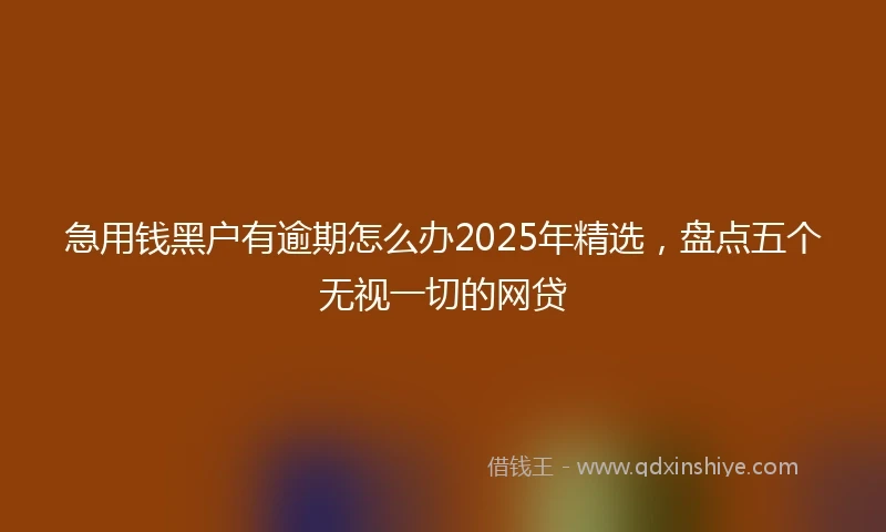 急用钱黑户有逾期怎么办2025年精选，盘点五个无视一切的网贷