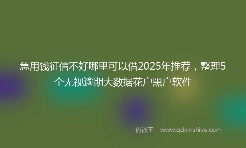 急用钱征信不好哪里可以借2025年推荐，整理5个无视逾期大数据花户黑户软件