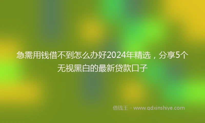 急需用钱借不到怎么办好2024年精选，分享5个无视黑白的最新贷款口子