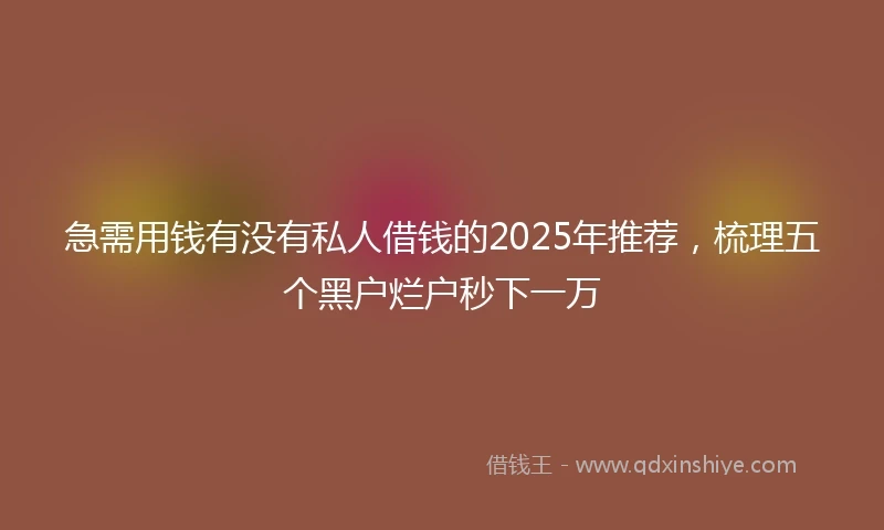 急需用钱有没有私人借钱的2025年推荐，梳理五个黑户烂户秒下一万