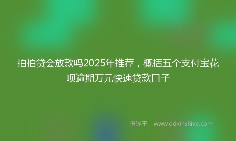 拍拍贷会放款吗2025年推荐，概括五个支付宝花呗逾期万元快速贷款口子