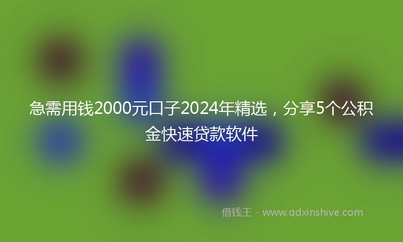 急需用钱2000元口子2024年精选，分享5个公积金快速贷款软件