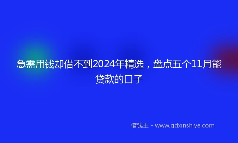 急需用钱却借不到2024年精选，盘点五个11月能贷款的口子