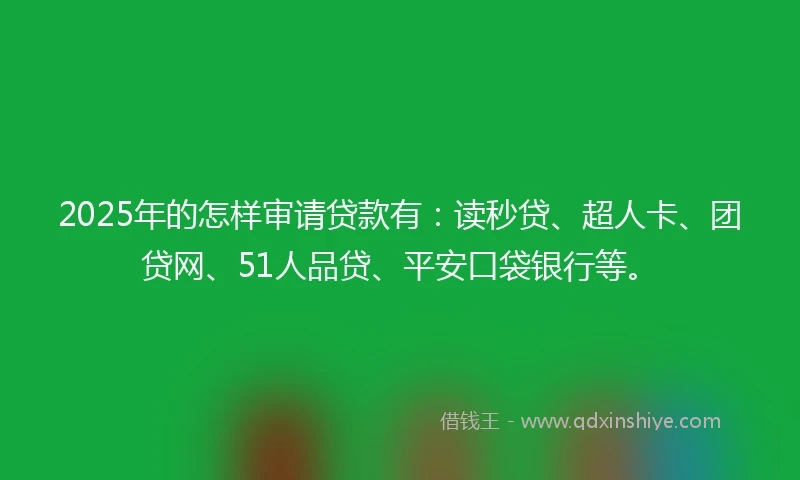2025年的怎样审请贷款有：读秒贷、超人卡、团贷网、51人品贷、平安口袋银行等。