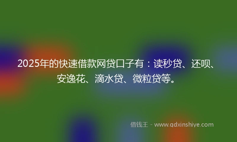 2025年的快速借款网贷口子有：读秒贷、还呗、安逸花、滴水贷、微粒贷等。