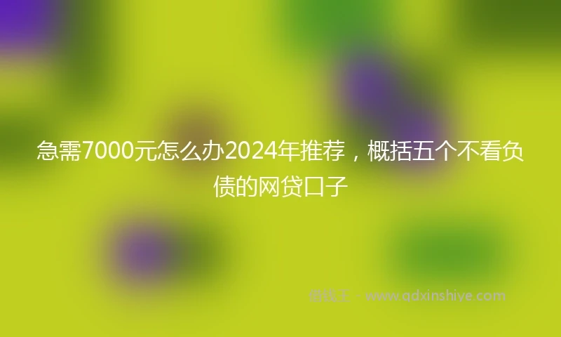 急需7000元怎么办2024年推荐，概括五个不看负债的网贷口子