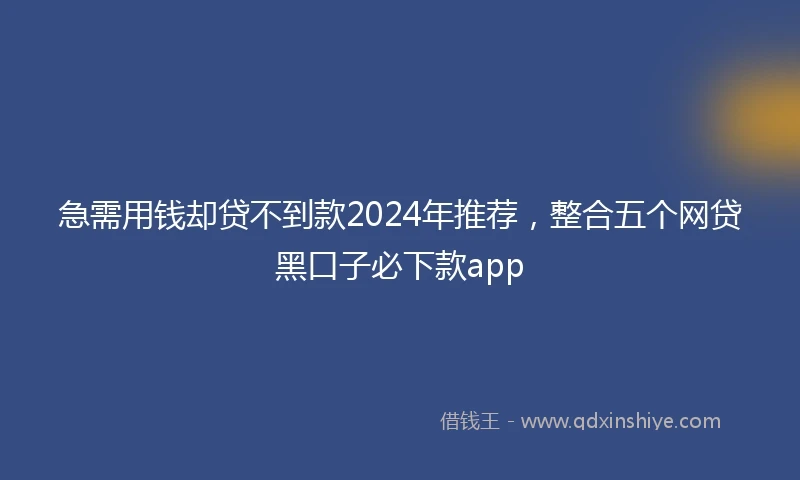 急需用钱却贷不到款2024年推荐，整合五个网贷黑口子必下款app