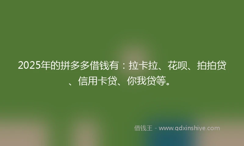 2025年的拼多多借钱有：拉卡拉、花呗、拍拍贷、信用卡贷、你我贷等。