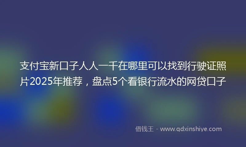 支付宝新口子人人一千在哪里可以找到行驶证照片2025年推荐，盘点5个看银行流水的网贷口子