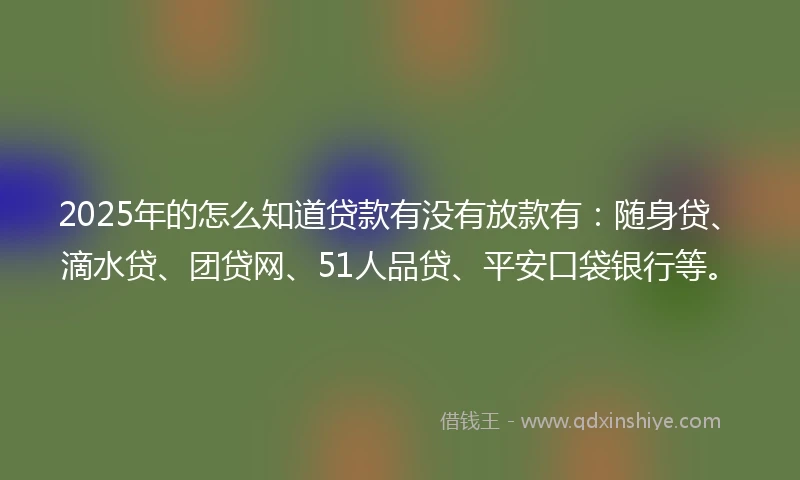 2025年的怎么知道贷款有没有放款有：随身贷、滴水贷、团贷网、51人品贷、平安口袋银行等。